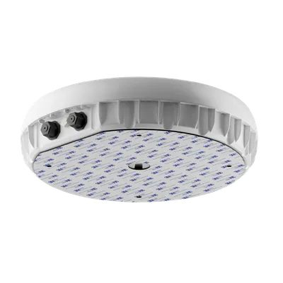 Peplink Antenna Max Duo – 5G-fähiges Antennengehäuse mit GPS