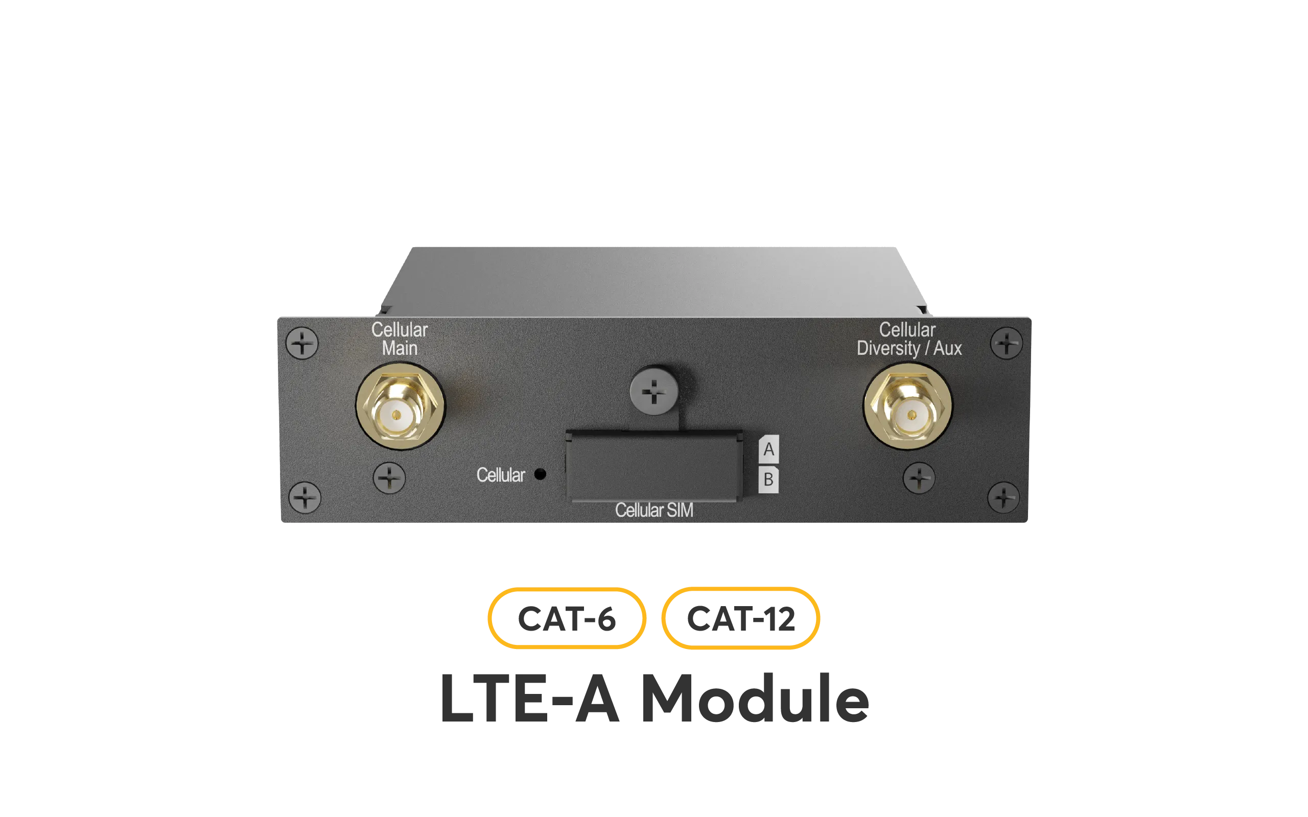 Mietgerät: Peplink BPL-021