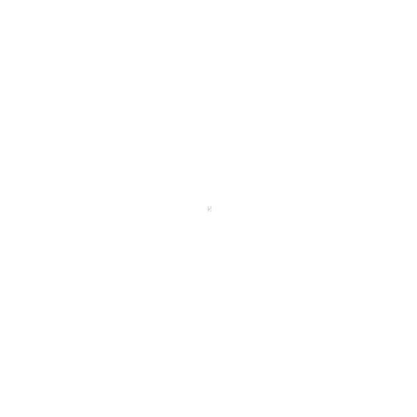 Mietgerät: Peplink BPL-021