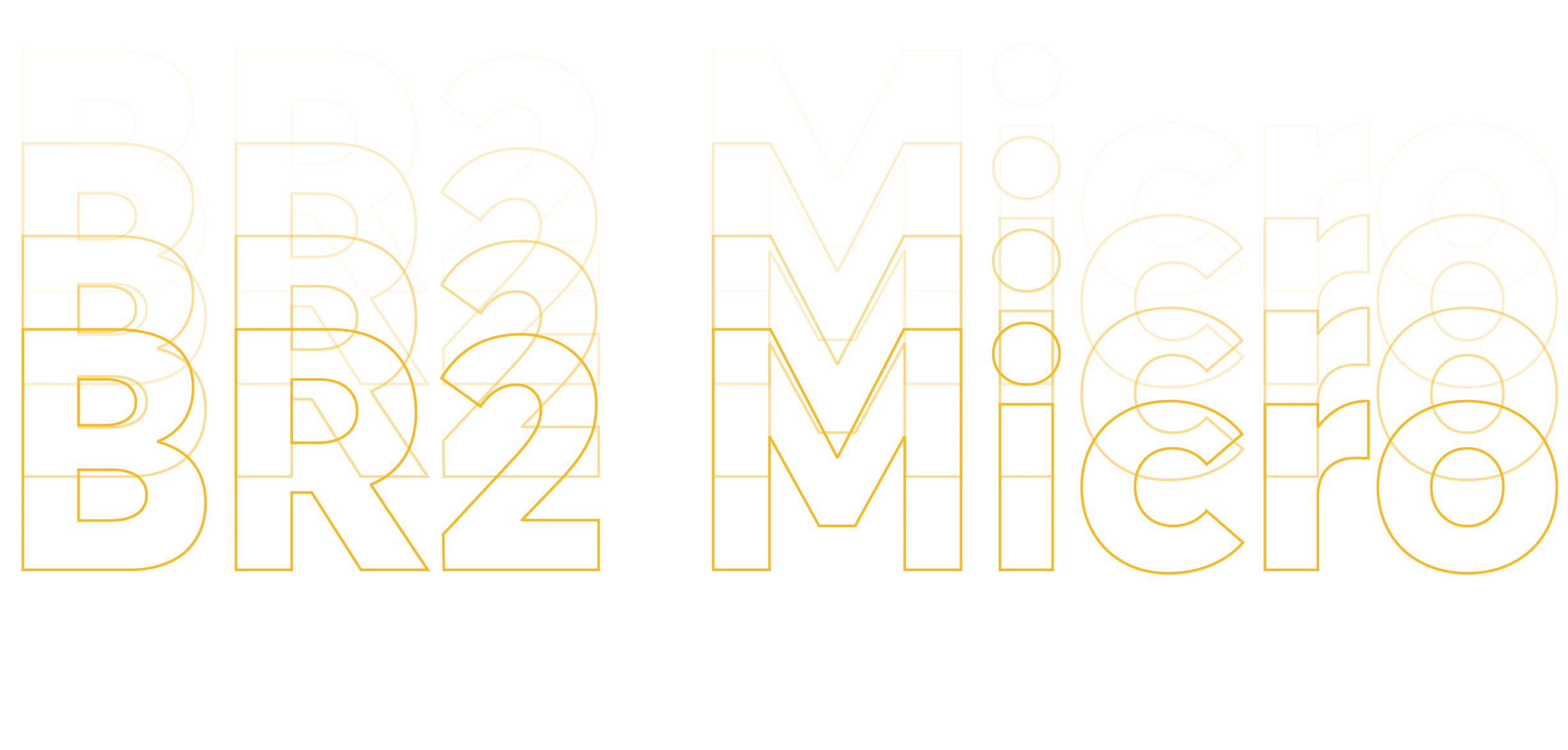 BR2 Micro BR2 Micro