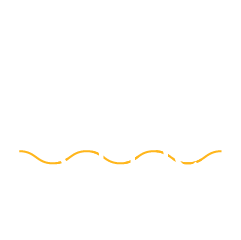 EssentialCare+ (4-Year) for MAX HD2 Dome Pro LR
