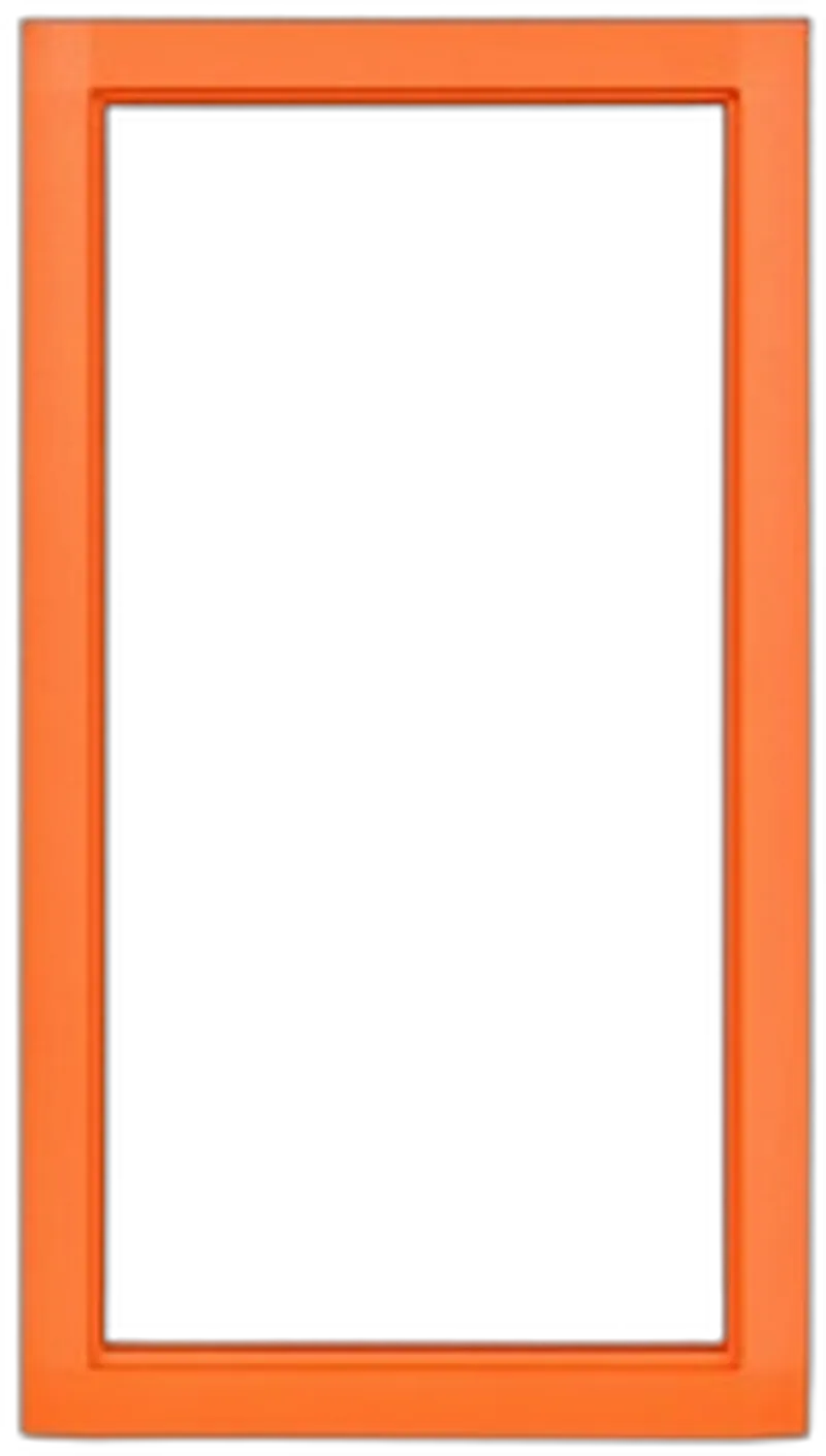2N Zubehör • IP Safety • Metallrahmen • Orange