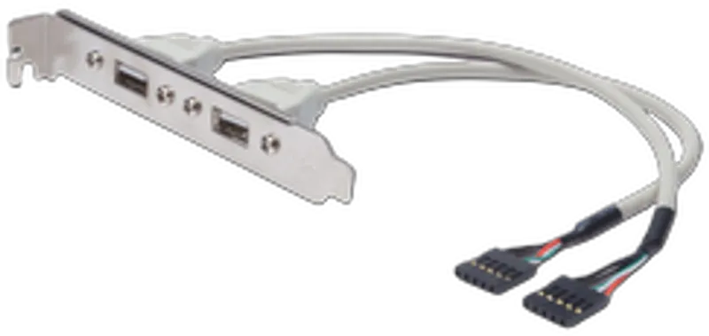 DIGITUS Slotblech 2xUSB/A -> IDC 2x5Pin  Bu/Bu 0.25m Polybeutel