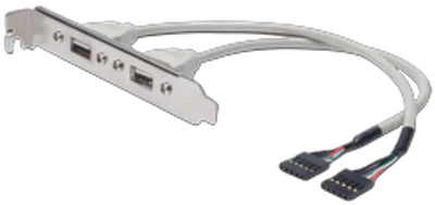 DIGITUS Slotblech 2xUSB/A -> IDC 2x5Pin Bu/Bu 0.25m Polybeutel