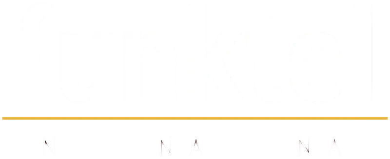 Funktel Industrial Headset Ex