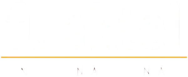 Funktel Battery for D11/FC11