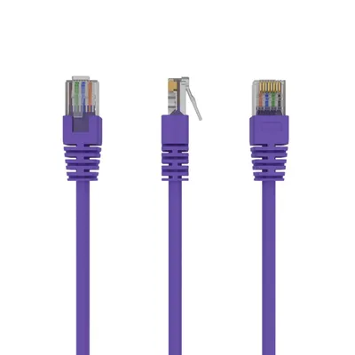 Gembird RJ45/RJ45 Cat5e 1m cable de red Púrpura U/UTP (UTP)