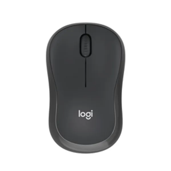 Logitech Wireless Mouse M240 silent graphite retail