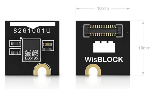 RAK Wireless LoRa WisBlock Storage Flash Module RAK15001, elektronisches Modul mit goldfarbenem Steckverbinder und RAK Wireless LoRa WisBlock Storage Flash Module RAK15001, elektronisches Modul mit goldfarbenem Steckverbinder und