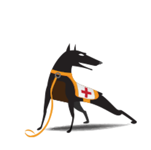 Conformità