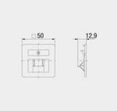Rutenbeck Dose, UP, Zentralplatte, perlweiss, 50x50, ZSt UAE-Cat. 8