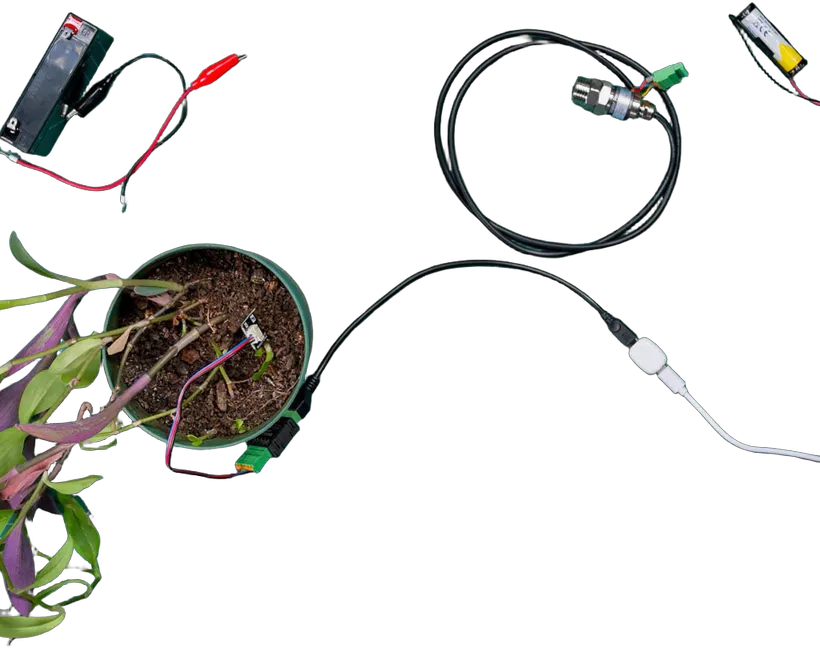 Shelly · DIY · "The Pill"