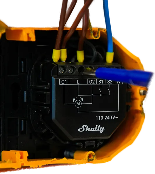 Shelly Shutter + BLU Button Tough1 Pack