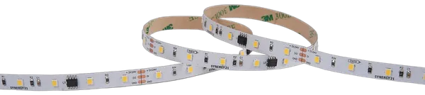 Synergy 21 LED Flex Strip 2835 -  60 NW pixel DC24V WS2811 IP20