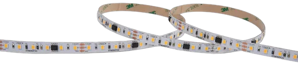 Synergy 21 LED Flex Strip 2835 -  96 WW pixel DC24V WS2811 IP20
