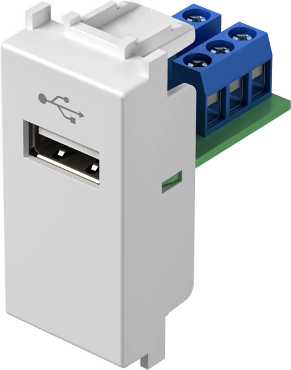 TEM Serie Modul Steckdosen SOCKET USBTIP A 1M PW
