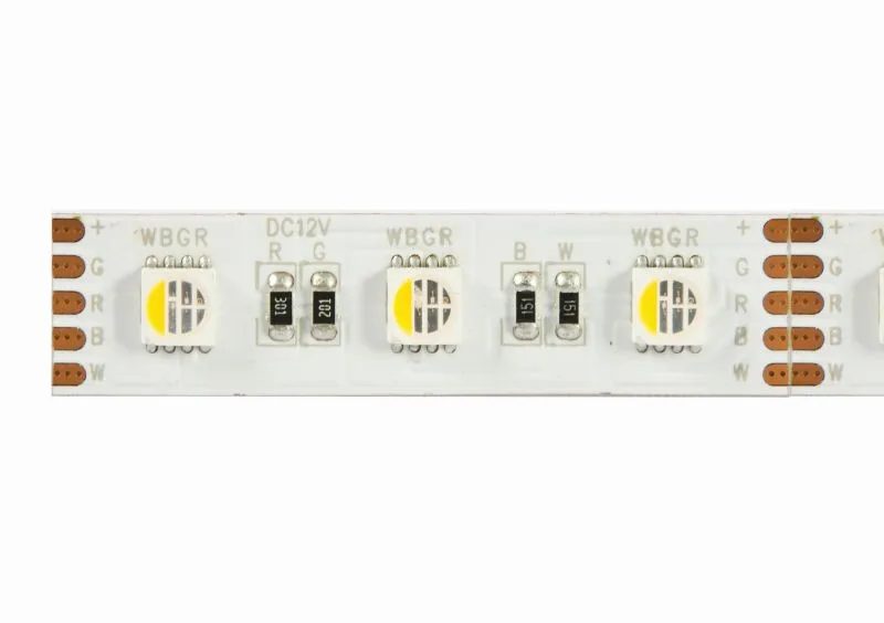 Synergy 21 LED Flex Strip 5050 -   60 RGB DC24V + RGB-W one chip nw IP68